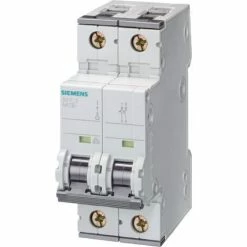 Leistungsschalter Siemens 2P 10A 15kA C-Typ 2-Module,