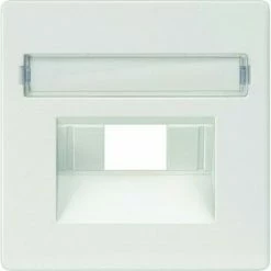 SIEMENS DELTA I-system, Titanweiß Abdeckplatte UAE-Anschlussdose